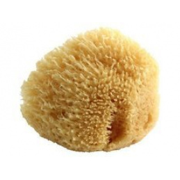 Prirodna morska spužva POUPY