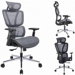 Ergonomska stolica NEOVA - siva