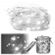Aga LED Dekorativna Žica 10m 100LED Hladno bijela