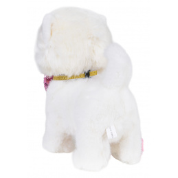 Interaktivni Bijeli Pas