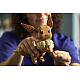 LEGO® Pokémon™ Eevee Model Komplet za slaganje Proizvodi iz linije 72151