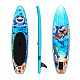 Aga Dječji paddleboard DS2215 250x60x10 cm