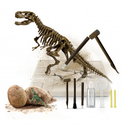 Aga4Kids Set za male paleontologe T-Rex