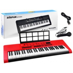 Orgulje s mikrofonom 61 tipki IN0140