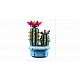 LEGO® Botanicals Kaktus u cvatu, biljni ukras 11509