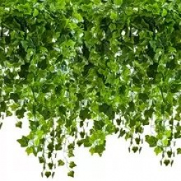 Umjetni viseći bršljan s malim listovima 50,4 m Gardlov 19737