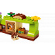 LEGO® DUPLO® 10480 Les plný objevů a divokých zvířátek
