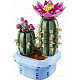 LEGO® Botanicals Kaktus u cvatu, biljni ukras 11509