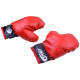 Bokserski set rukavice + vreća SP0565