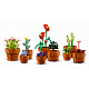 LEGO® Botanicals Sitne biljke, komplet za slaganje za odrasle 10329