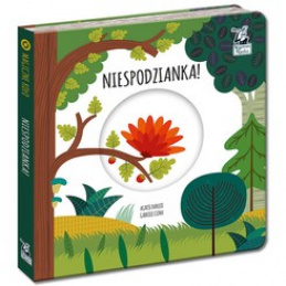 Čarobni krug kapetana znanosti. Iznenađenje! KS0674