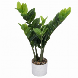 Umjetna biljka Zamiokulkas u loncu visine 60 cm zelena KAO ŽIVA