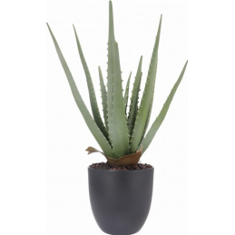 Umjetna biljka Aloe u loncu, visina 45 cm, zelena KAO ŽIVA