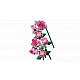 LEGO® Botanicals Buket ružičastih ruža, ukrasno cvijeće 10374