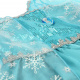 Aga Karnevalski kostim Elsa Frozen Snježno kraljevstvo 120cm