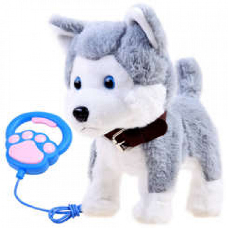Interaktivni pas Husky na povodcu 2DZ270 - II. KVALITETA