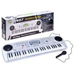 Orgulje s mikrofonom MQ5407 54 tipki IN0116