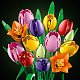 LEGO® Botanicals Buket tulipana, cvjetni ukras 11501