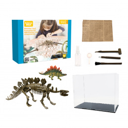 Aga4Kids Set za male paleontologe Stegosaurus