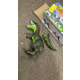 Aga4Kids Interaktivni dinosaur T-Rex - 2DZ254 - 2. Kvaliteta