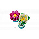 LEGO® Botanicals 11511 Lopoči